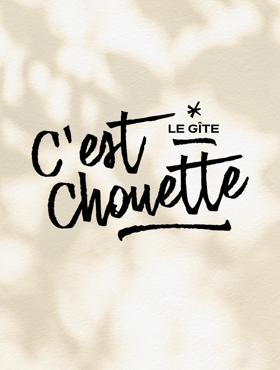 Création de logo pour C'est Chouette Le Gîte, Chambres d'Hôtes et Gîte à Saint-Jodard (42)